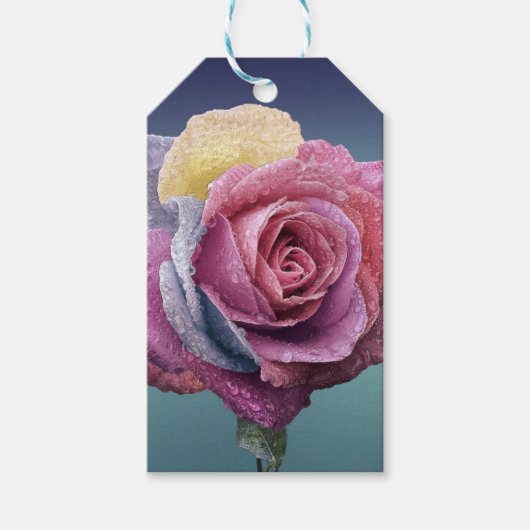 mehrfarbige Rose Geschenkanhänger (Vorderseite)