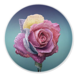 mehrfarbige Rose Keramikknauf