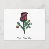 Mehrfarbige Rose Postkarte (Vorderseite)