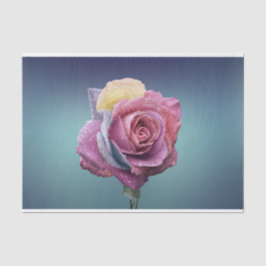 mehrfarbige Rose Seidenpapier