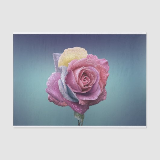 mehrfarbige Rose Seidenpapier (Vorderseite)