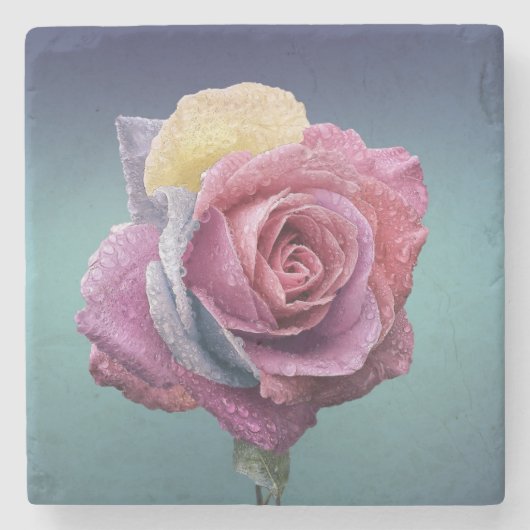 mehrfarbige Rose Steinuntersetzer (Vorderseite)