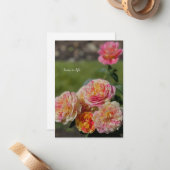 Mehrfarbige Rosen Mitteilungskarte (Vorderseite/Rückseite Beispiel)