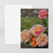 Mehrfarbige Rosen Mitteilungskarte (Vorne/Hinten)