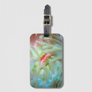 Mehrfarbige Seeanemone Gepäckanhänger
