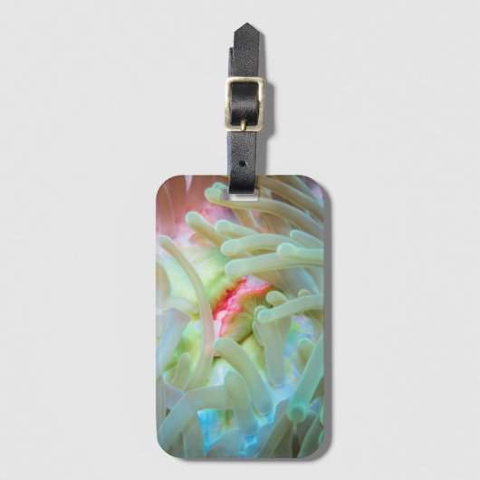 Mehrfarbige Seeanemone Gepäckanhänger (Vorderseite Vertikal)