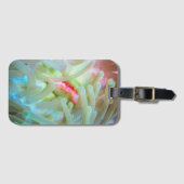 Mehrfarbige Seeanemone Gepäckanhänger (Vorderseite (Horizontal))