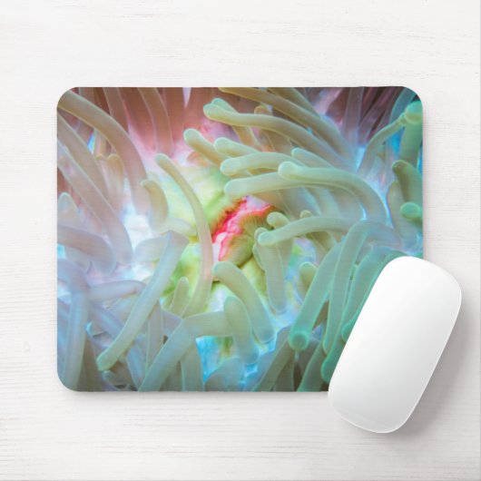 Mehrfarbige Seeanemone Mousepad (Mit Mouse)