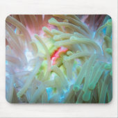 Mehrfarbige Seeanemone Mousepad (Vorne)