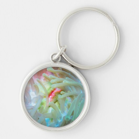 Mehrfarbige Seeanemone Schlüsselanhänger (Vorne)