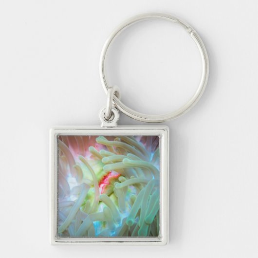 Mehrfarbige Seeanemone Schlüsselanhänger (Vorne)