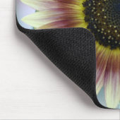 Mehrfarbige Sonnenblume Mousepad (Ecke)
