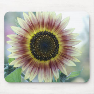 Mehrfarbige Sonnenblume Mousepad