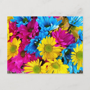 Mehrfarbige Sonnenblume Postkarte