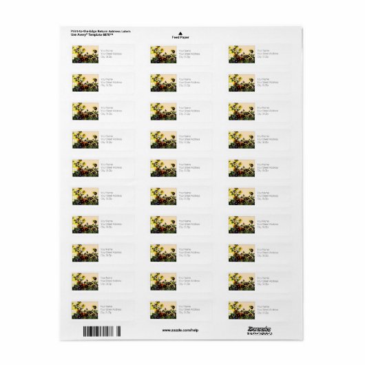 Mehrfarbige Stiefmütterchen Botanische Kunst Rücks (Vorne)