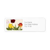 mehrfarbige Tulips, botanische Art Rücksendeadress (Vorne)