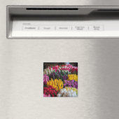 mehrfarbige Tulips Magnet (In Situ (Geschirrspüler))