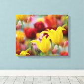 Mehrfarbige Tulissen Leinwanddruck (Insitu (Holzboden))