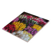 Mehrfarbige Tulpen Fliese (Seite)