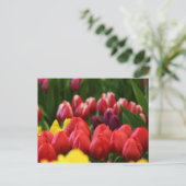 mehrfarbige Tulpen Postkarte (Stehend Vorderseite)