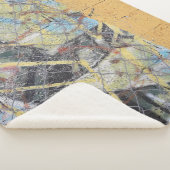 mehrfarbige Wandmalerei Sherpadecke (3/4)