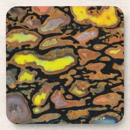 Mehrfarbiger Dinosaurier Getränkeuntersetzer (Vorderseite)