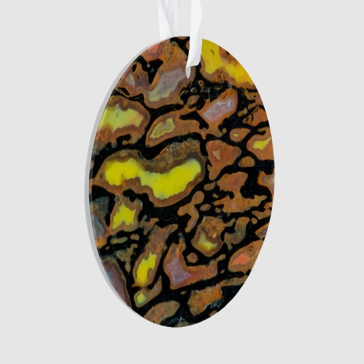 Mehrfarbiger Dinosaurier Ornament (Vorderseite)