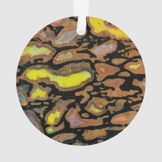 Mehrfarbiger Dinosaurier Ornament (Rückseite)