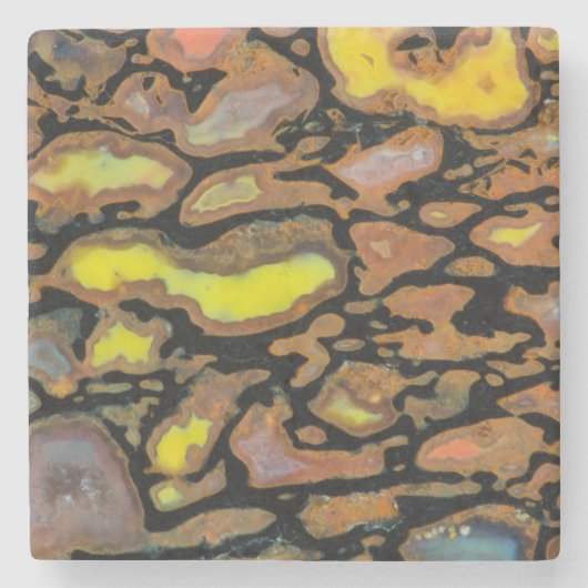 Mehrfarbiger Dinosaurier Steinuntersetzer (Vorderseite)