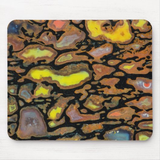 Mehrfarbiger Dinosaurierknochen Mousepad (Vorne)