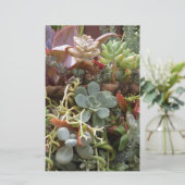 mehrfarbiger Kakteen Briefpapier (Stehend Vorderseite)