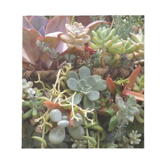 mehrfarbiger Kakteen Notizblock (Vorderseite)