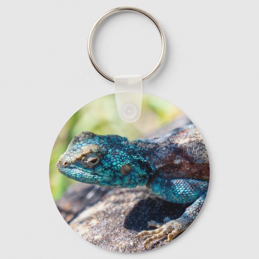 mehrfarbiger Lizard-Schlüsselanhänger Schlüsselanhänger (Vorderseite)