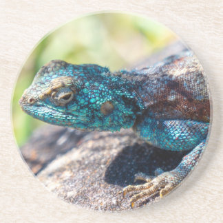 mehrfarbiger Lizard-Untersetzer Getränkeuntersetzer