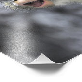 mehrfarbiger Wolf-Affe Fotodruck (Ecke)