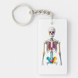 Mehrfarbiges anatomisches Skelett Schlüsselanhänger
