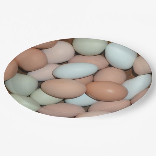 Mehrfarbiges Huhn Eggs Pappteller (Schrägansicht)