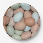 Mehrfarbiges Huhn Eggs Pappteller (Vorderseite)