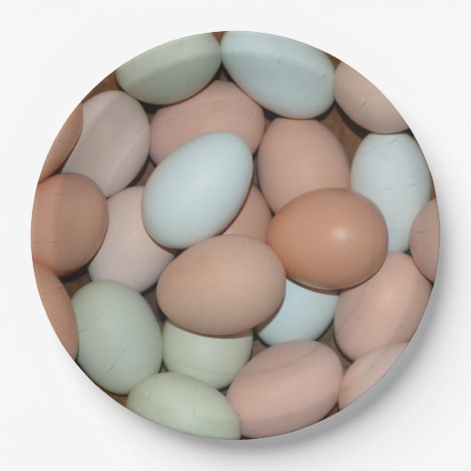 Mehrfarbiges Huhn Eggs Pappteller (Vorderseite)