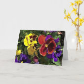 Mehrfarbiges Stiefmütterchen Karte (Gelbe Blume)