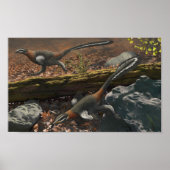 Mei Long Print Poster (Vorne)