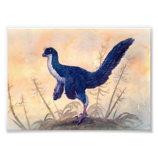 Mei Print Fotodruck (Vorne)