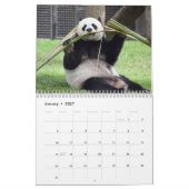 Mei Xiang & Tian Tian 2022 Kalender (Jan 2027)