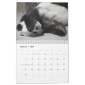 Mei Xiang & Tian Tian 2022 Kalender (Feb 2027)