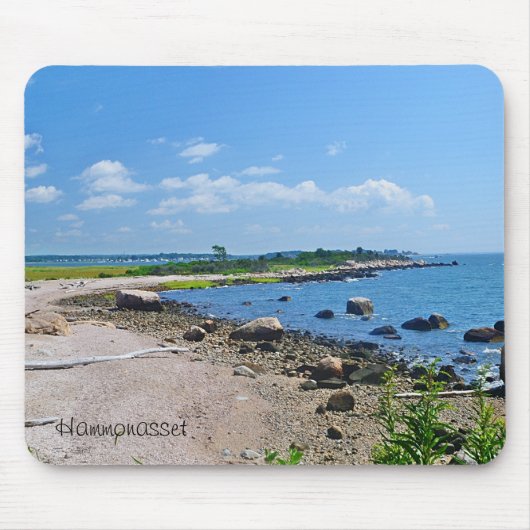 Meigs Point Mousepad (Vorne)