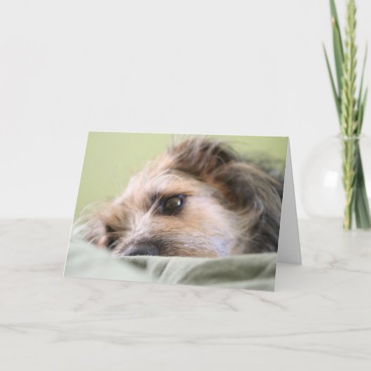 Meilen erwägend karte (Vorderseite)