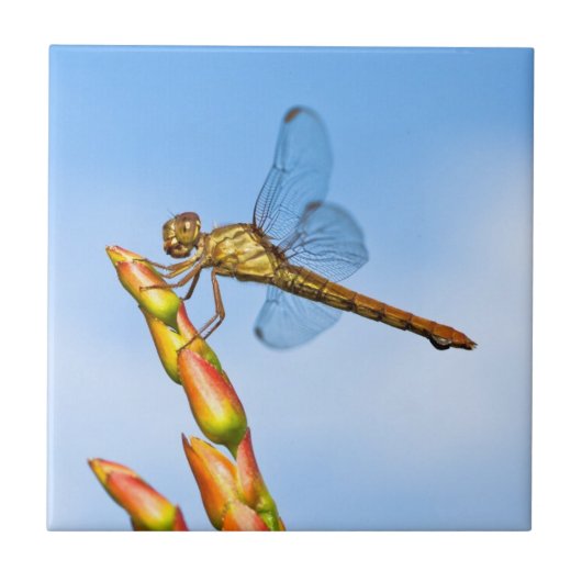 Meilen hinter mir fliese (Vorderseite)