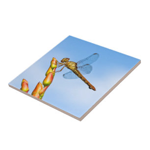 Meilen hinter mir fliese