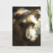 Meilen Karte (Vorderseite)