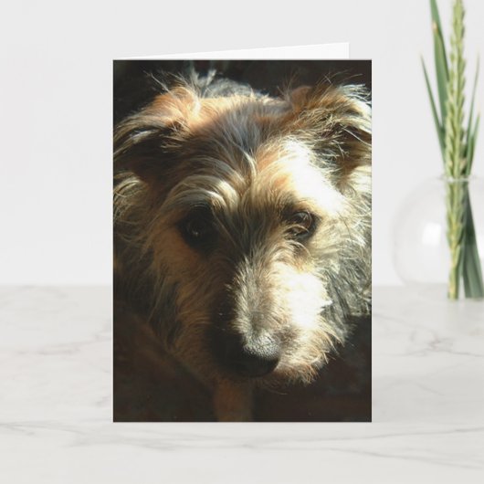 Meilen Karte (Vorderseite)